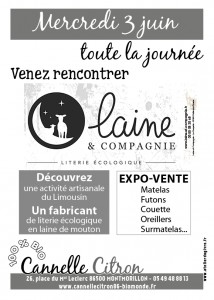 A5  laine et compagnie WEB 03-06