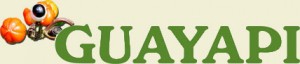 logo_guayapi