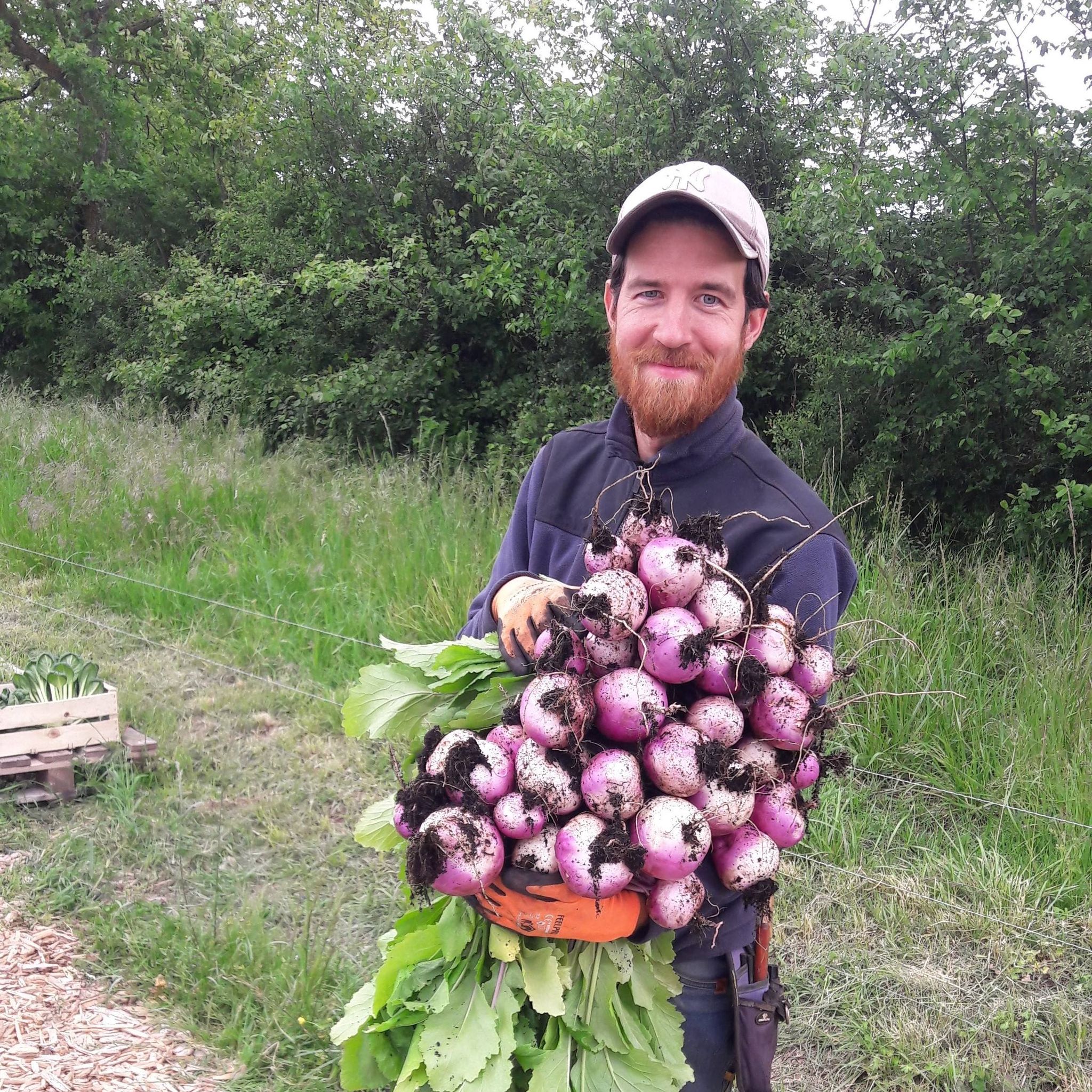ferme du plantis